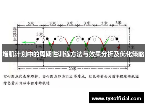 增肌计划中的周期性训练方法与效果分析及优化策略